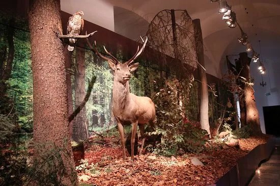 Muzeum Przyrodnicze Swietokrzyskiego Parku Narodowego na Swietym Krzyzu