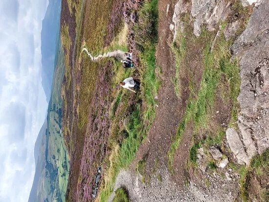 Gownbarrow Fell