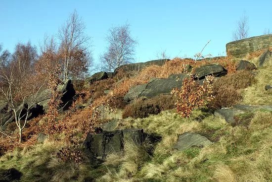 Baildon Moor