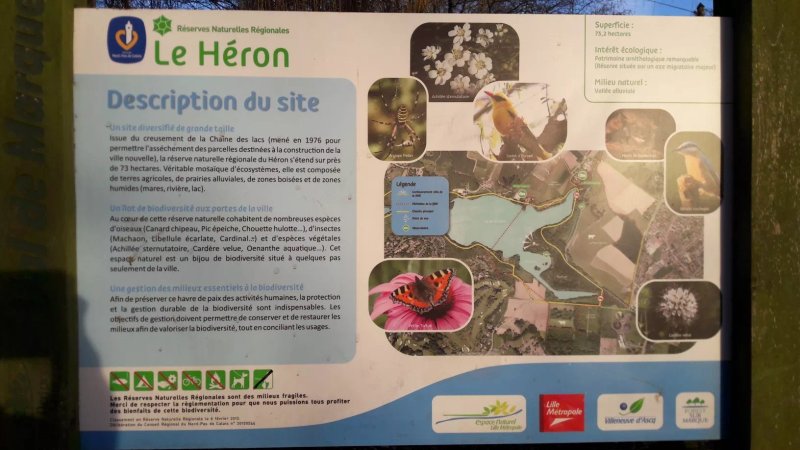 Reserve Naturelle du Heron