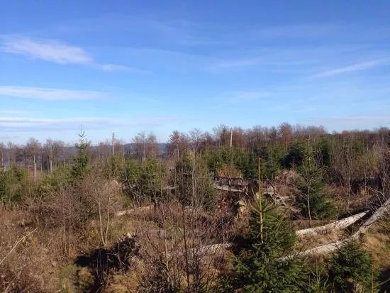 Kyrill-Pfad-Schanze