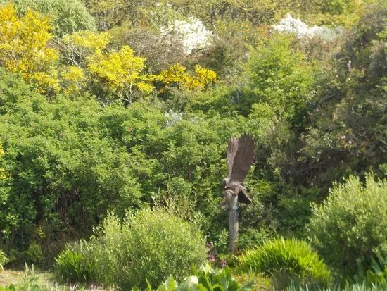 Aldouran Wetland Garden