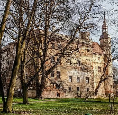 Castle in Glogowek