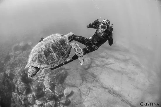 Ocean Freediving Lanzarote