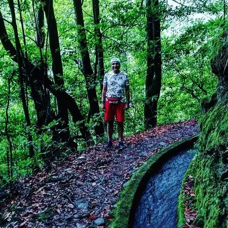 Levada Do Rei