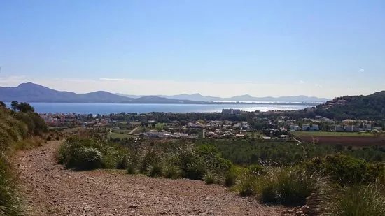 Playa del Puerto de Pollensa