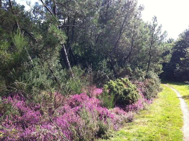 cottage of character 4 * - Regional Natural Park of the Gulf of Morbihan
