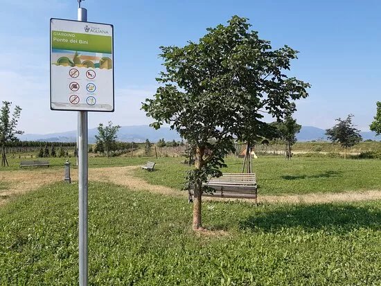 Giardino Pubblico Bino E Rinaldo Bini