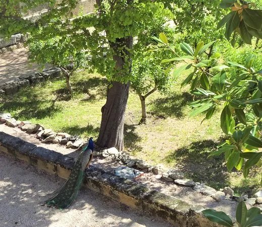 Jardin de los Frailes