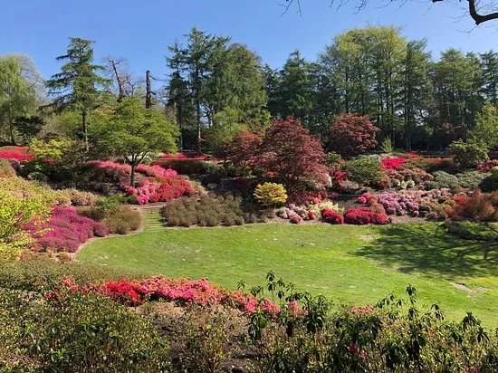 The Valley Gardens