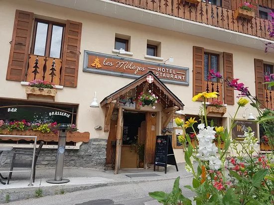 Hotel Les Melezes