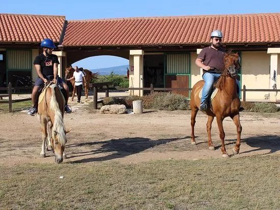 SLANG. Sardinia, senses & language