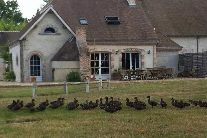 near Loire valley very comfortable house in front of a private river, calm place