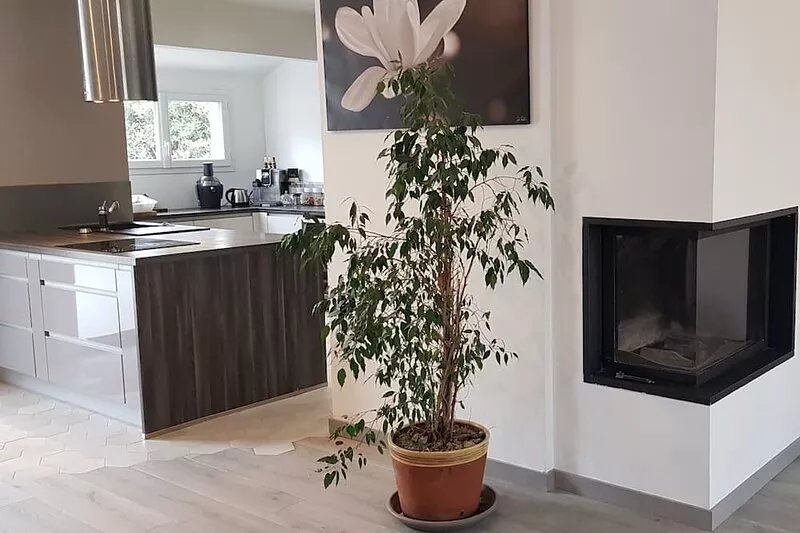 Superb house with garden in the city center !!