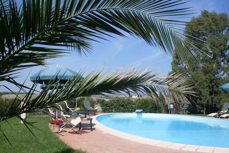 Magnificent swimming pool among mediterranean vegetation,  private garden