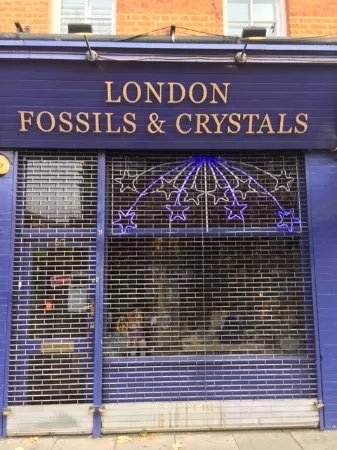 London Fossils And Crystals