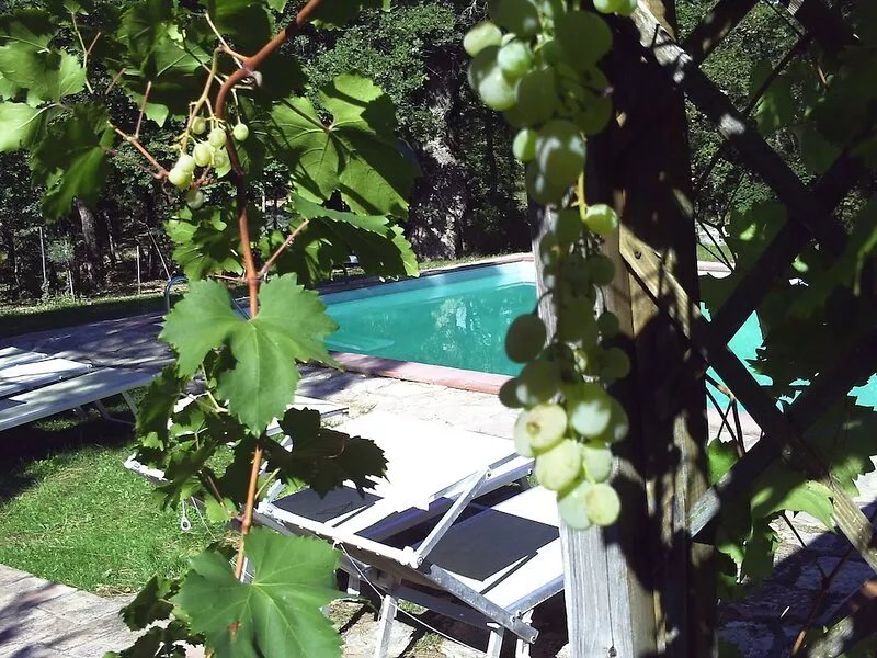 Portion Farmhouse nestled in the heart of Chianti with private pool,