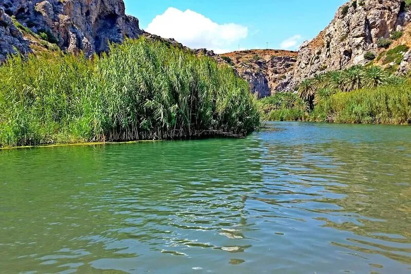 Beautiful Holiday Home with a Swimming Pool and a Barbeque in the Cretan nature!