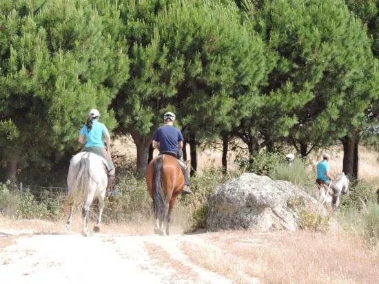 Activities Barbancho - Horseback Riding