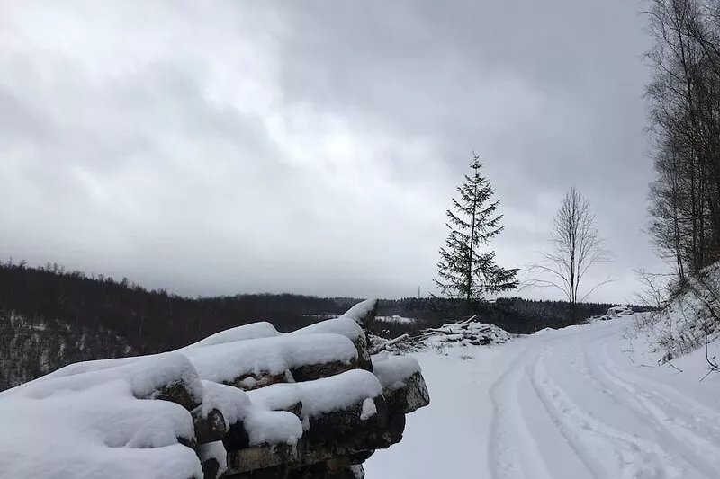 Relax or do sports! "Gästehaus zum Rothaarsteig" in the heart of nature!