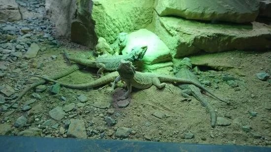 Exotarium