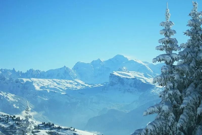 Promo suite désistement 1-8 fév App 3p 3* au pied des pistes, accès direct à ski