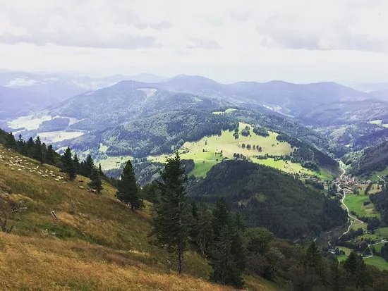 Belchen