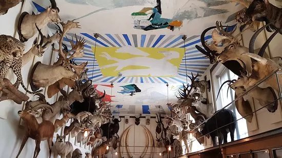 Musee de la Chasse et de la Nature
