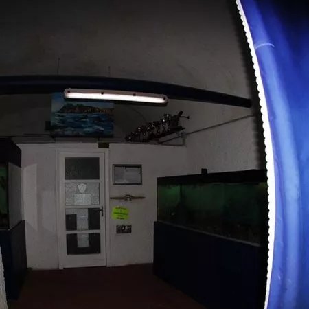 Acquario