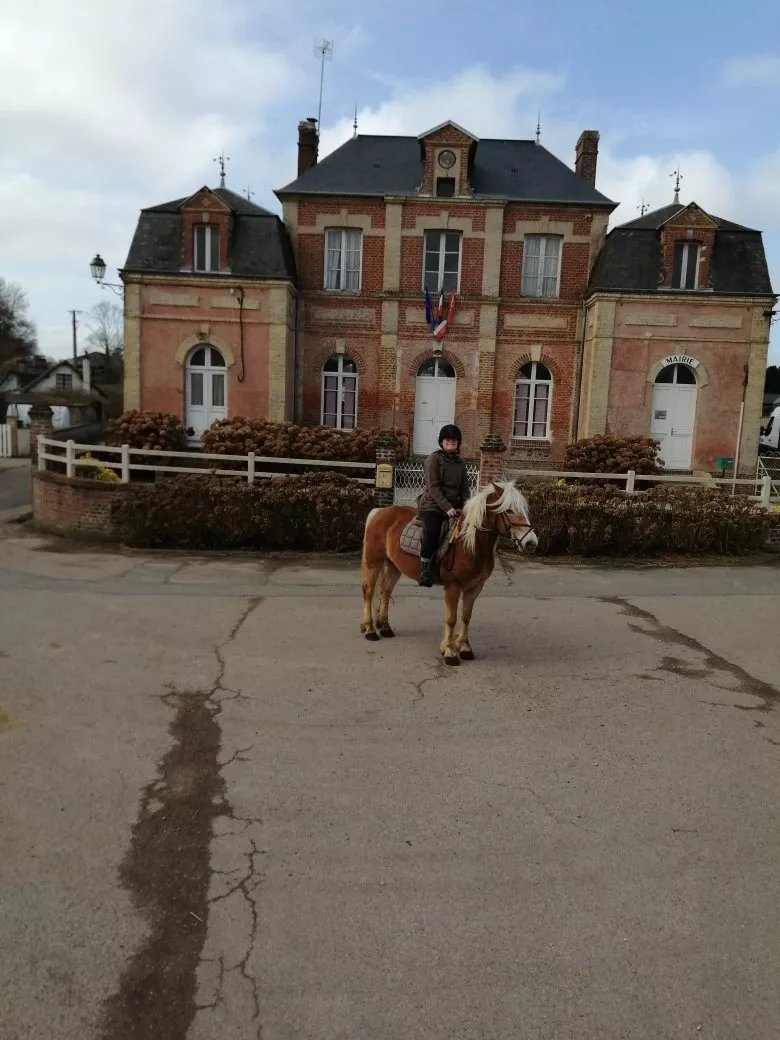 Haras du Manoir