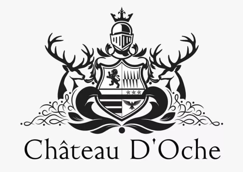 Quirky and Luxurious - Chateau d'Oche South Wing Gite
