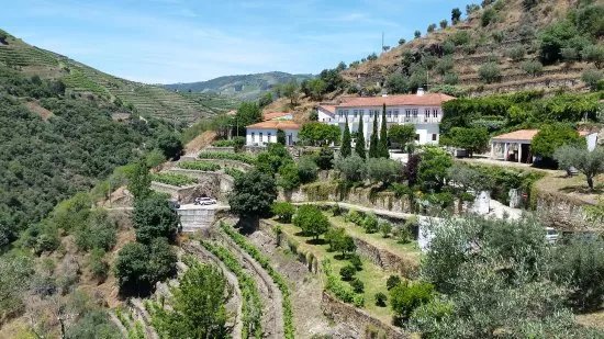 Quinta do Panascal