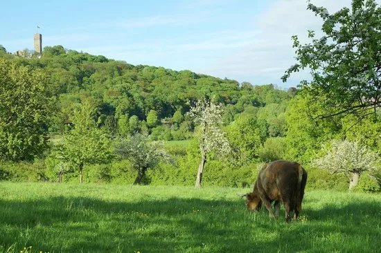 Naturpark Hochtaunus