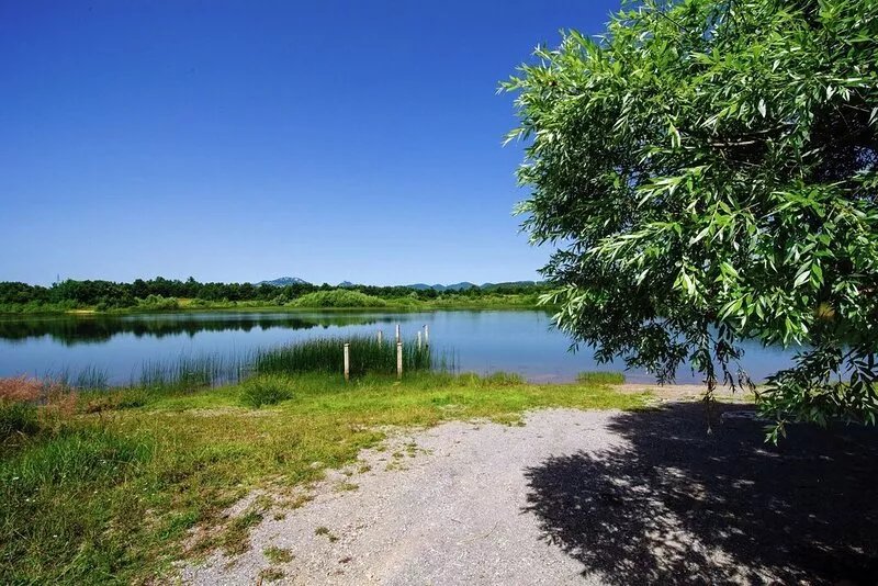 Comfortable Cottage near Lake in Lovinac