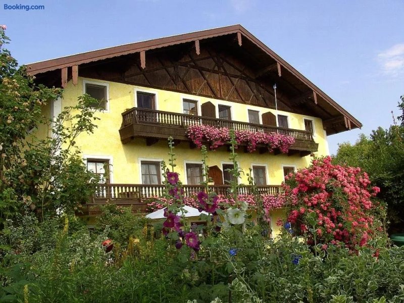 Kollhof