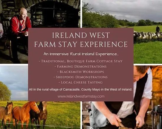 Ireland West Farm Stay