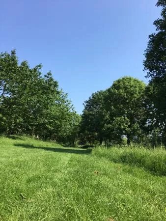 Central Park, Bell Meadow and Sky Blue Pasture