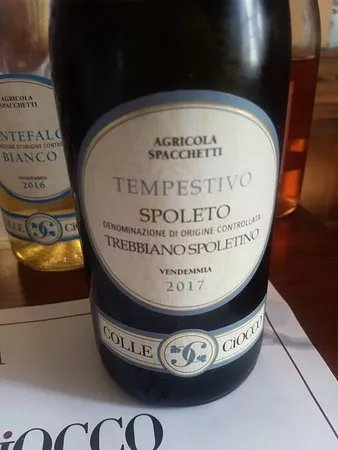 Cantina Colle Ciocco