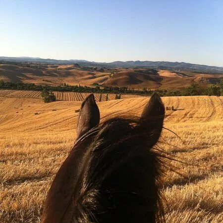 Centro turismo equestre La Chiusafarina