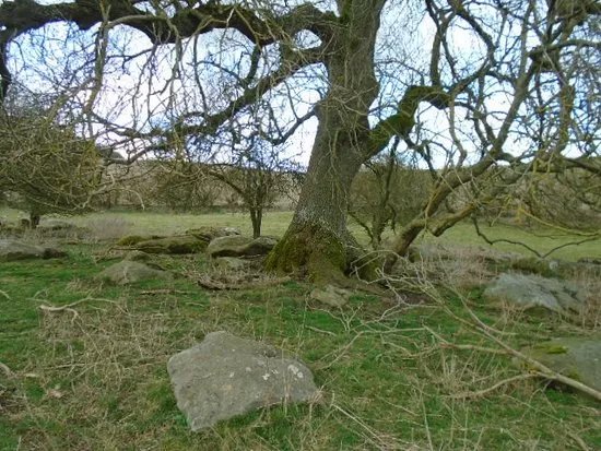 Lockeridge Dene and Piggledene