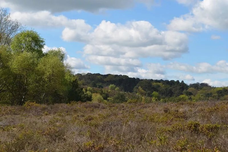 Detached , Luxury Oak House in open countryside