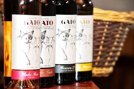 Quinta Do Gato Enoturismo
