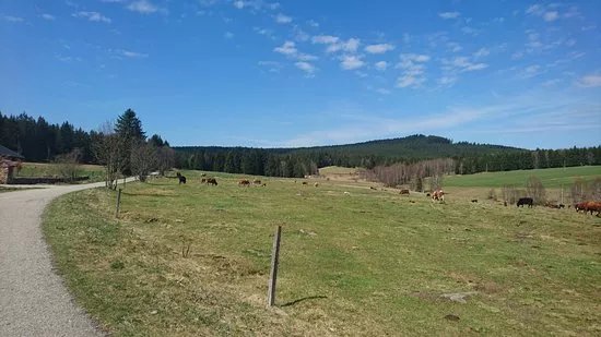 Kvilda - The source of Vltava