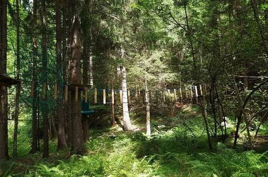 La Foret Magique