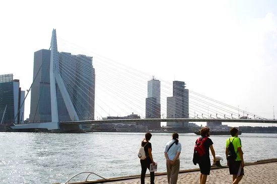 Walk Rotterdam