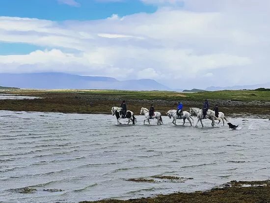 Croagh Patrick Stables