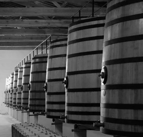 Uncorked Wine Tours