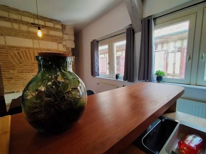 Champagne apartment at CATY