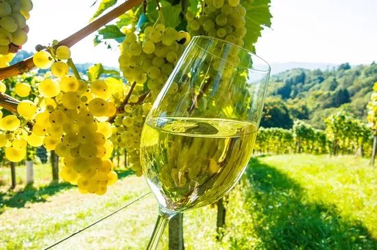 Cal Roig - Unique Wine Experience
