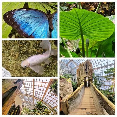 Schmetterlinghaus
